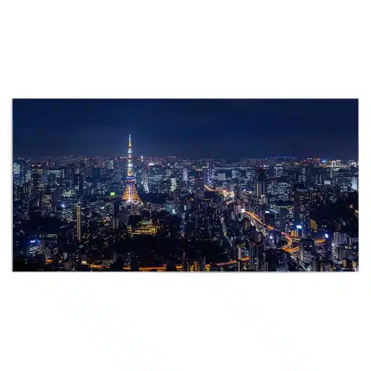 Tablou vedere panoramica cu Turnul Tokyo si orasul 4524 front