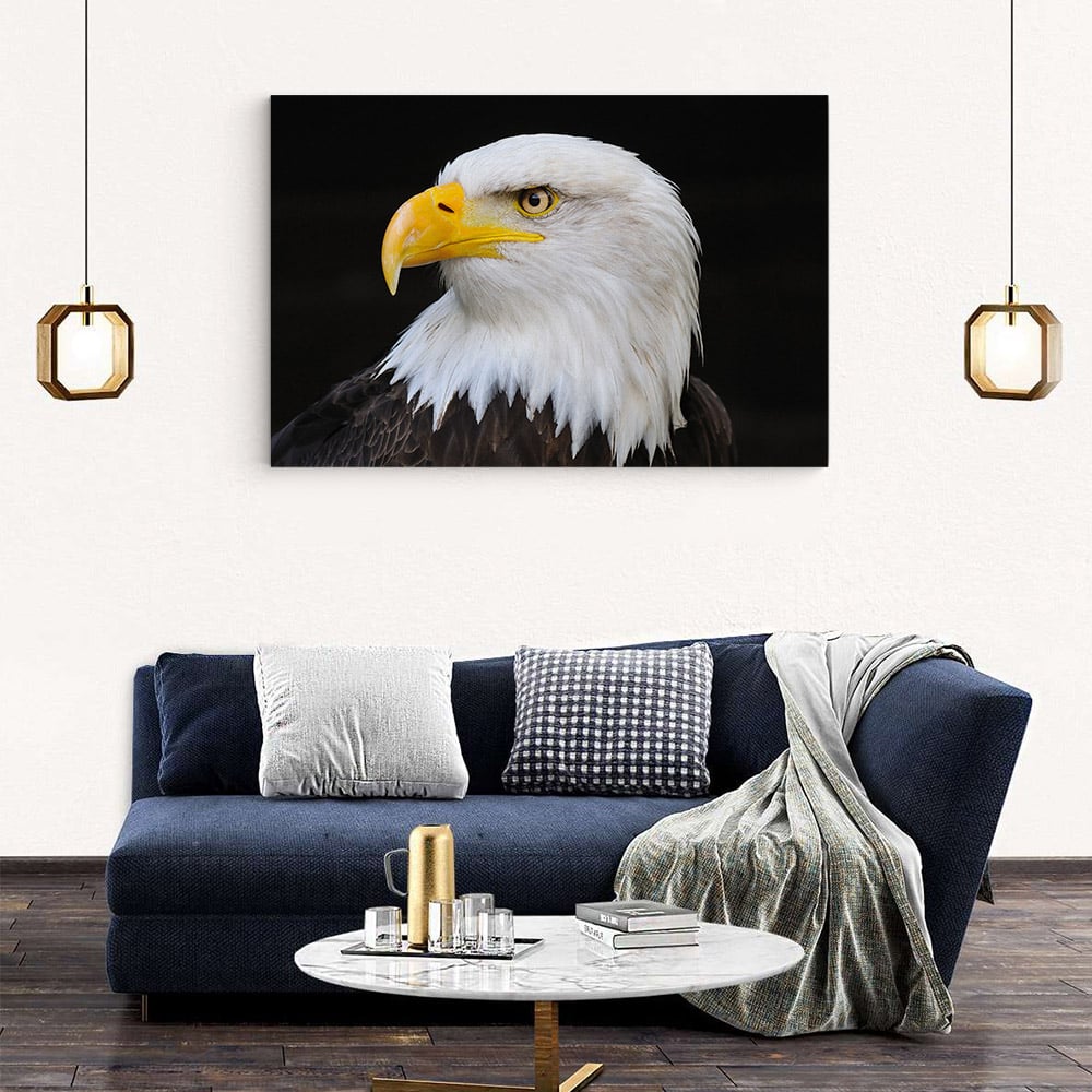 Tablou vultur cu capul alb 3094 living modern 2