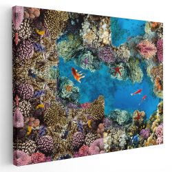 sablon imagine 4x3 landscape copy - Afis Poster Tablou peisaj subacvatic recif de corali pesti albastru pentru living casa birou bucatarie livrare in 24 ore la cel mai bun pret.